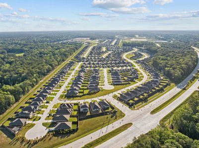 Pinewood at Grand Texas by M/I Homes in New Caney - photo 1 1