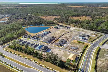 Berry Bay by M/I Homes in Wimauma - image