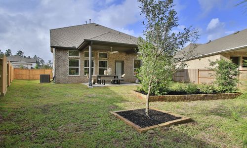 The Woodlands Hills by Brightland Homes in Willis - photo 10 10