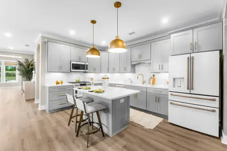 The Dunes at Sandbar by Fischer Homes in Anna Maria - image 20