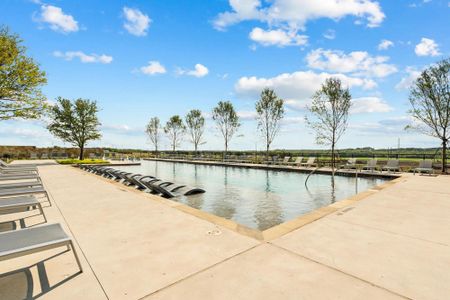 Hillstead by Drees Custom Homes in Lavon - image 11