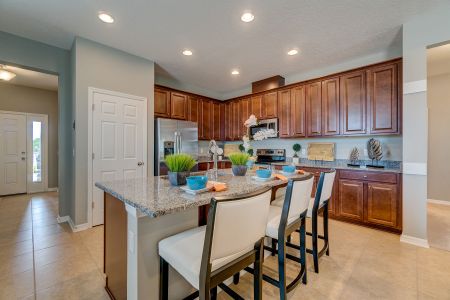 Epperson by M/I Homes in Wesley Chapel - photo 40 40