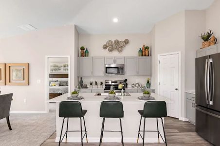 Hawkstone by Casa Fresca Homes in Lithia - photo 21 21