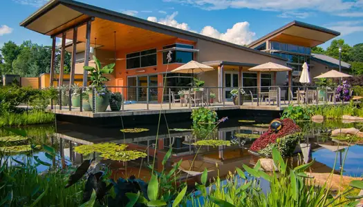 The Grove at Mundy Mill by Chafin Communities in Gainesville - image 14