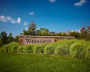 Woodforest 40' - The Crest by Perry Homes in Montgomery - photo 1 1