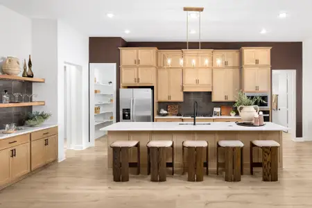 Myrtle Creek by Coventry Homes in Waxahachie - image 6