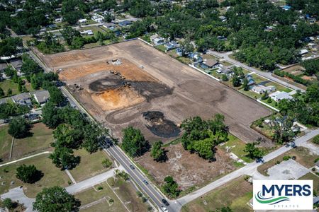Myers Estates by William Ryan Homes in Seffner - photo 0