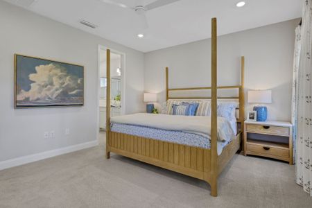 Shearwater by Dream Finders Homes in St. Augustine - image 6