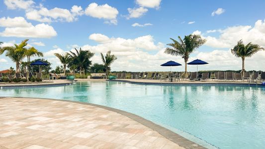 River Hall by Dream Finders Homes in Alva - image 8