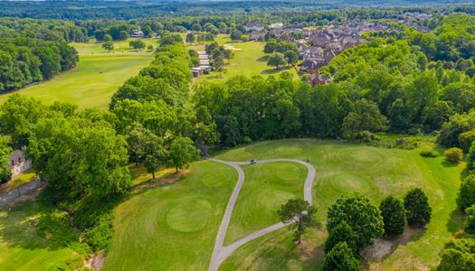 Traditions Of Braselton by Stephen Elliott Homes in Jefferson - photo 4 4