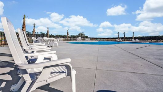 Sidbury Station by D.R. Horton in Castle Hayne - image 11