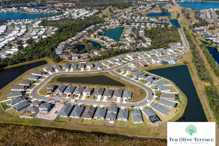 Tea Olive Terrace at the Fairways by William Ryan Homes in Palmetto - photo 36 36