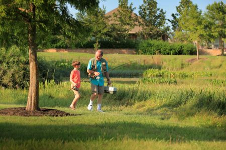 Sunfield by Chesmar Homes in Buda - photo 7 7