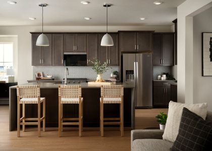 Painted Prairie by Tri Pointe Homes in Aurora - image 5