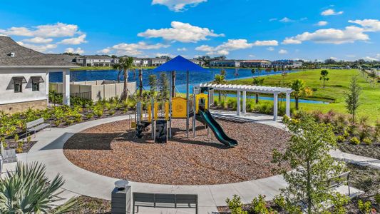 Mangrove Point by D.R. Horton in Apollo Beach - photo 6 6