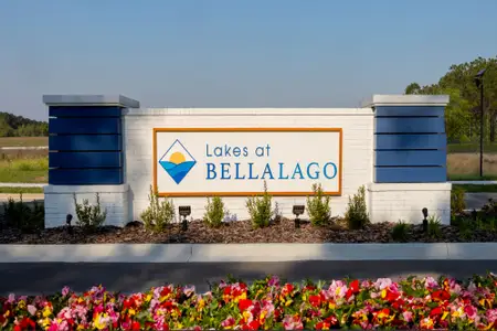Lakes at Bella Lago by Mattamy Homes in Green Cove Springs - image
