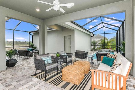 Persimmon Park - Cottage Series by David Weekley Homes in Wesley Chapel - photo 33 33