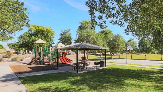 Terravista park with a playground, picnic area, and basketball court.