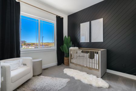 Kitchel Lake by Bridgewater Homes in Timnath - image 4