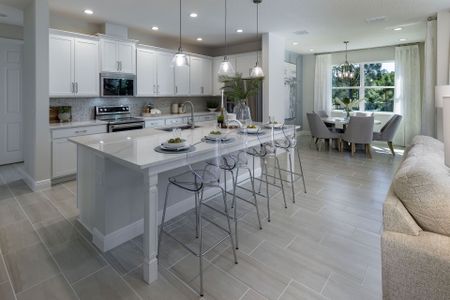 Trinity Gardens by Trinity Family Builders in Deland - image 8