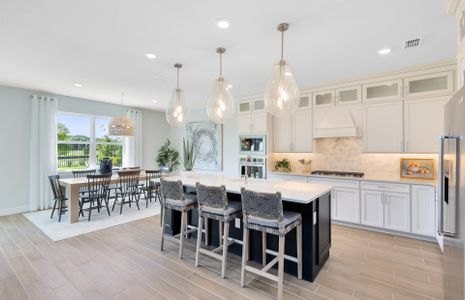 Foothills Preserve by Pulte Homes in Mount Dora - photo 38 38