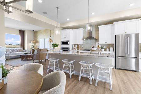 Dillon Pointe by Brightland Homes in Broomfield - photo 59 59