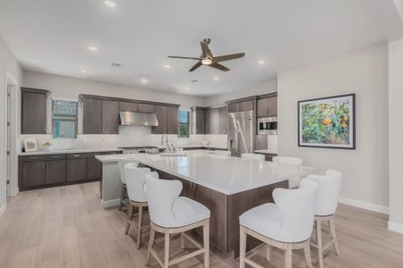 Bellero Estates by Elliott Homes in Queen Creek - image 6
