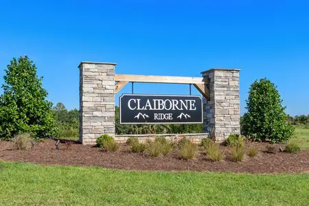 Claiborne Ridge by Ryan Homes in Landrum - image