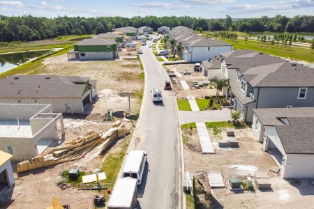 K-Bar Ranch Gilded Woods by M/I Homes in Tampa - photo 5 5