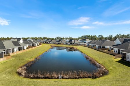 The Villas at Longleaf Park, a Watersound Origins® community by Fischer Homes in Inlet Beach - image 16