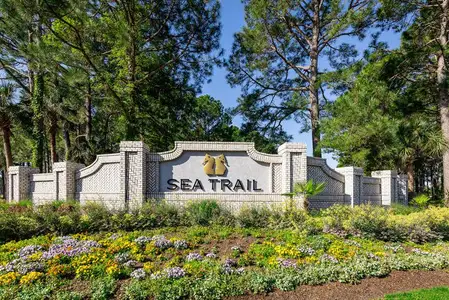 Gulls Landing at Sea Trail by Ryan Homes in Sunset Beach - image