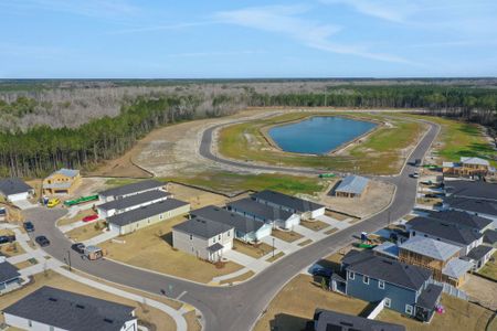 Cedar Creek by Dream Finders Homes in Jacksonville - photo 82 82