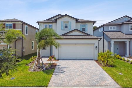 Cobblestone by M/I Homes in Zephyrhills - photo 27 27