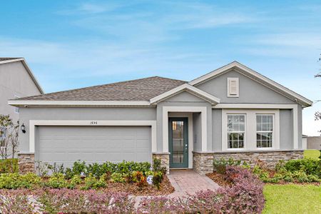 Park View at the Hills by Landsea Homes in Minneola - photo 2 2