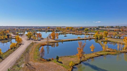 Fossil Creek Ranch by D.R. Horton in Windsor - photo 6 6