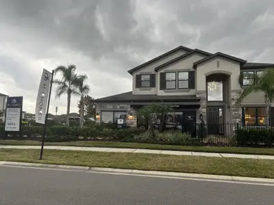 K-Bar Ranch Gilded Woods by M/I Homes in Tampa - photo 27 27