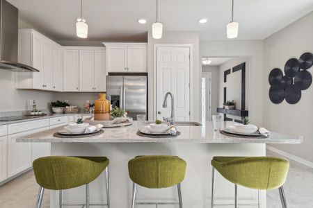 Avalon West by M/I Homes in Spring Hill - image 10