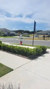 Seaport Village by Dream Finders Homes in Tavares - image