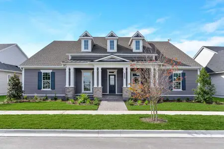 Seven Pines 70' Rear Entry by David Weekley Homes in Jacksonville - image 4