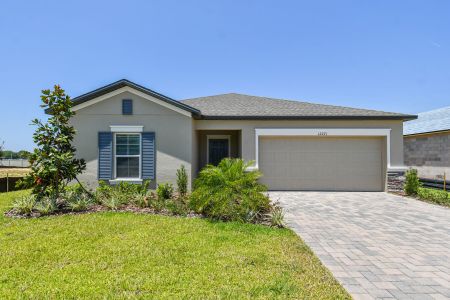 Hilltop Point by M/I Homes in Dade City - photo 21 21