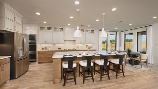 Cross Creek West 55' by Perry Homes in Fulshear - image 10