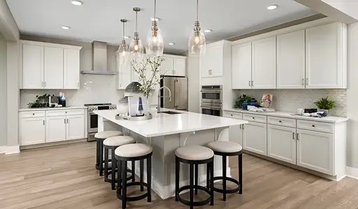 Ascent Village at Sterling Ranch by Richmond American Homes in Littleton - photo 18 18