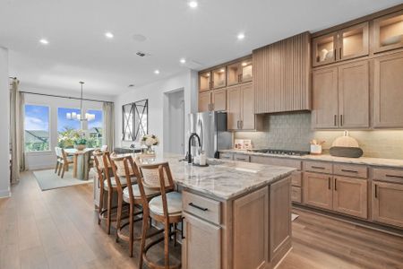 Wolf Ranch 71' by Coventry Homes in Georgetown - image 8