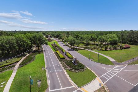 Connerton by M/I Homes in Land O' Lakes - image 14