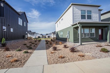 Bloom Cottages 38