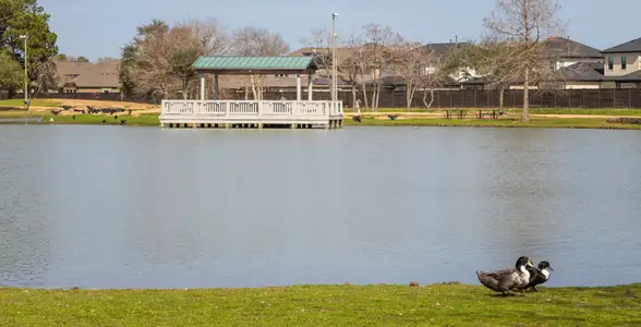 Sunterra: Bristol Collection by Lennar in Katy - photo 1 1