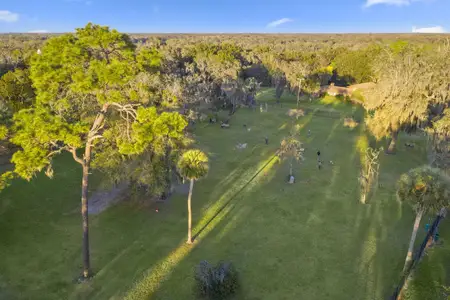 Laurel Oaks by KB Home in Apopka - photo 5 5