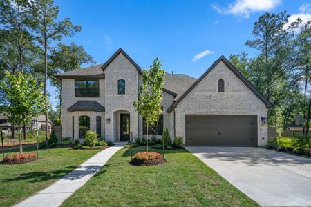 Artavia 70′ Lots by J. Patrick Homes in Conroe - photo 10 10