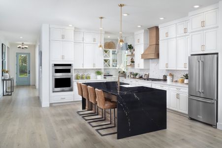 Palmera Wellen Park - Classic Series by David Weekley Homes in Venice - image 10