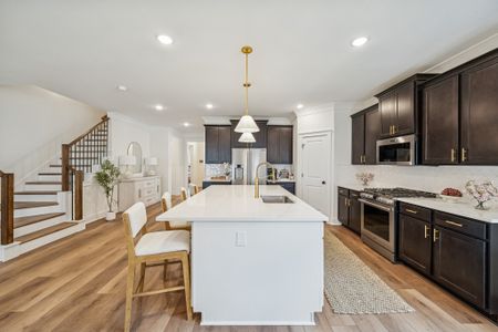 Two Step Farm by DSLD Homes in Montgomery - image 7